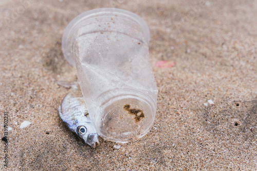 Plastic pollution on Bali beach highlighting environmental impact