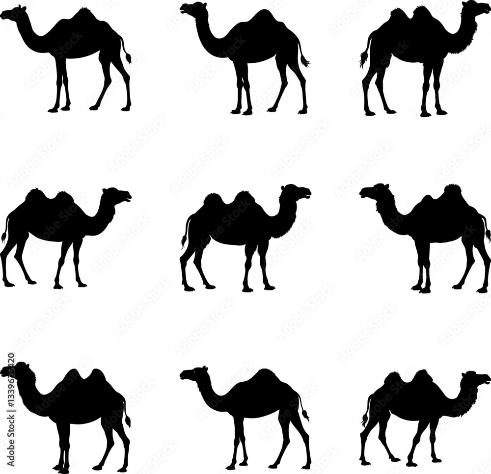 Naklejka premium Nine Camel Silhouettes: Desert Animal Images