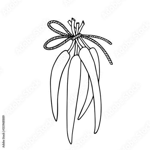 Line sketch, outline of hot chili pepper. Vector graphics.