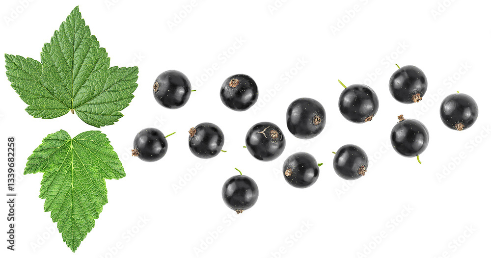 Berries of black currant with green leaves isolated on a white background, view from above. Berries of black currant with green leaves isolated on a white background, view from above.
