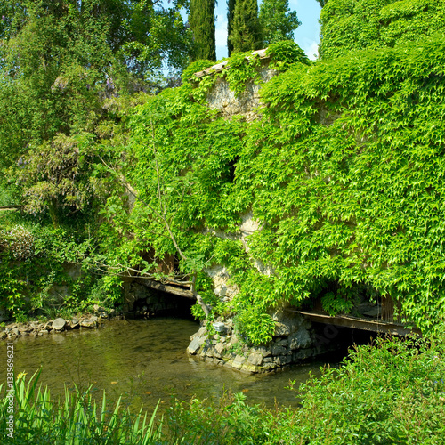 Giardino fiorito, con ruscello