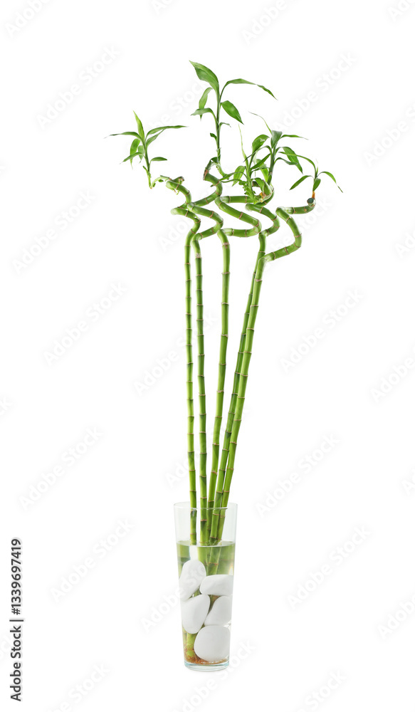 Decorative green bamboo stems in vase on white background Decorative green bamboo stems in vase on white background