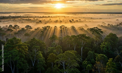  A breathtaking aerial view of a dense forest bathed in the golden light of sunrise, with beams of sunlight piercing through the mist and trees, creating a peaceful atmosphere.
