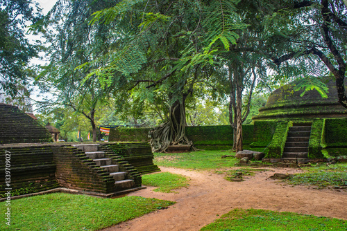 Dome shaped green stupa in the Kiri Vihara Buddhist temple ruins, royal ancient city of the Kingdom of Polonnaruwa,  the second capital of Sri Lanka,UNESCO Site, Sri Lanka, Asia