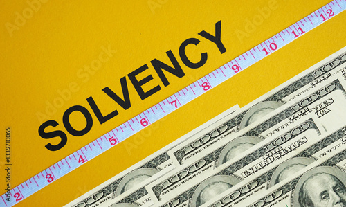 Tablou pe pânză Solvency ratio is shown as business financial concept