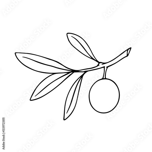 Line sketch, coloring branches with olives berries. Vector graphics.