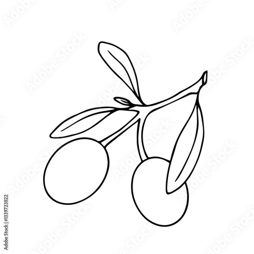 Line sketch, coloring branches with olives berries. Vector graphics.