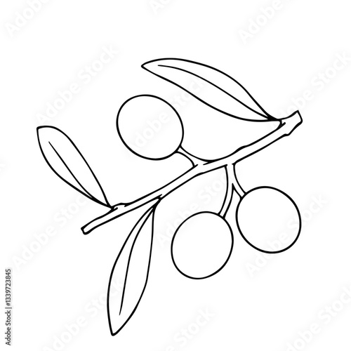 Line sketch, coloring branches with olives berries. Vector graphics.