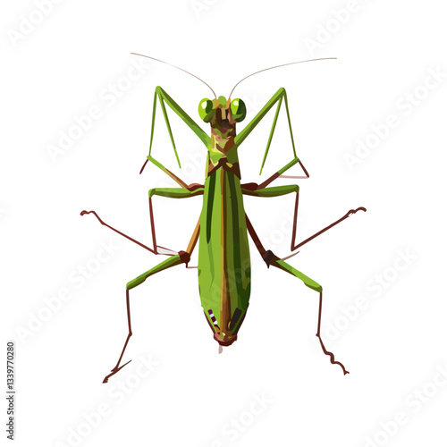 mantis14