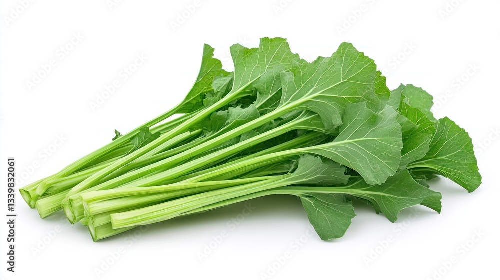 Fresh Green Celery Stalks: A Vibrant Bunch of Healthy Vegetables Fresh Green Celery Stalks: A Vibrant Bunch of Healthy Vegetables