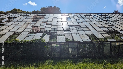 An old abandoned greenhouse stands under a bright blue sky, with broken glass panels and wild grass growing around it