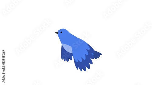 Motion graphic animation of blue bird flying with green screen