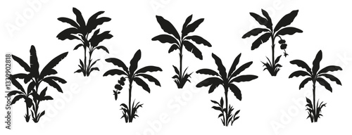 Tropical banana palm tree set. Collection of monochrome graphic silhouettes. Abstract botanical elements isolated on a white background. 
