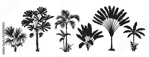 Tropical palm tree set. Collection of monochrome graphic silhouettes. Abstract botanical elements isolated on a white background. 