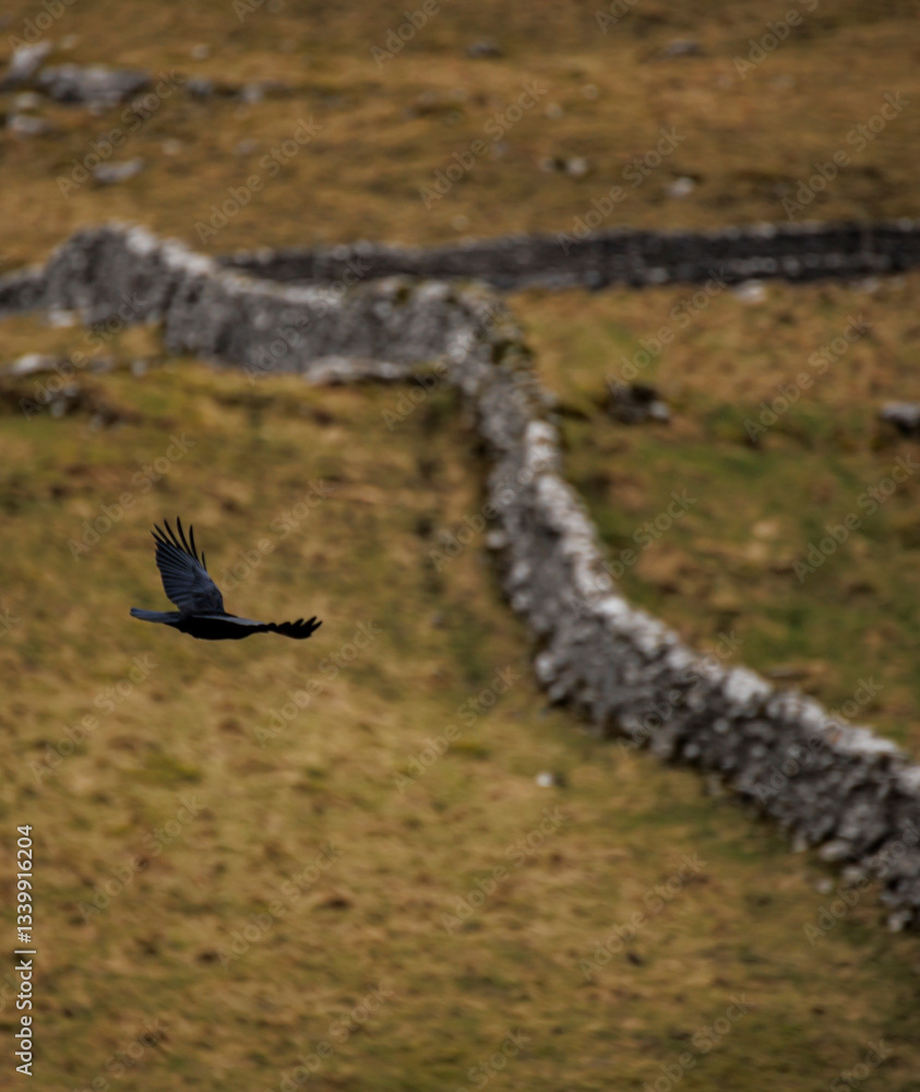 Obraz premium Malham Cove - Views while hiking, Yorkshire