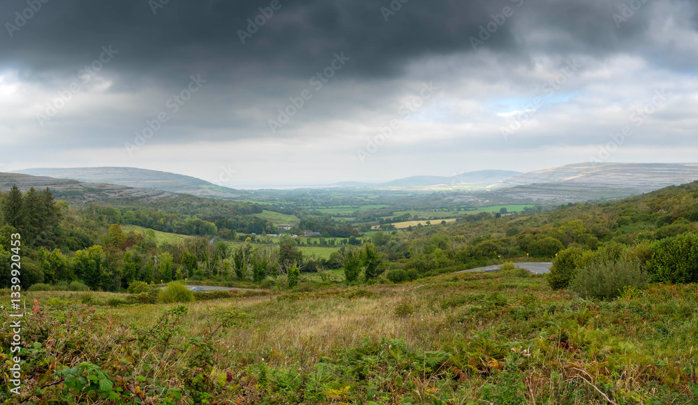 Fototapeta premium Panorama image of a Irish nature scenery with green fields, forests and mountains in the background. Nobody. Cloudy sky. Travel and tourism in Ireland.