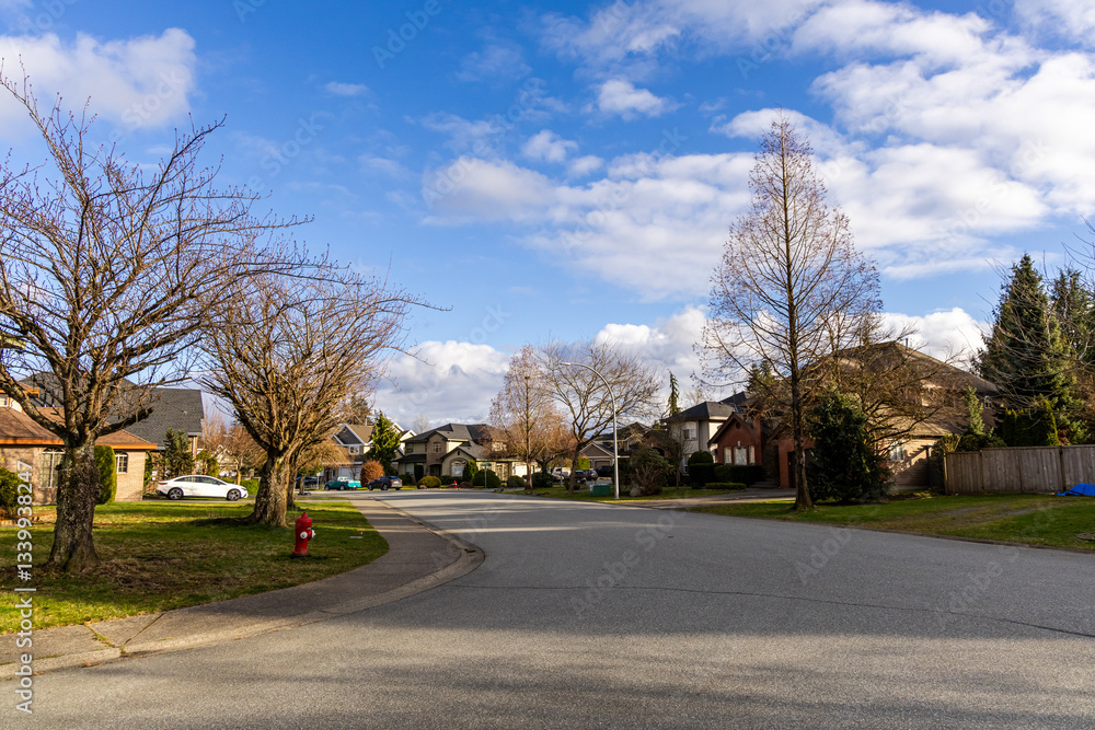 Beautiful Residential Street with Houses and Bare Trees Under a Bright Blue Sky Beautiful Residential Street with Houses and Bare Trees Under a Bright Blue Sky
