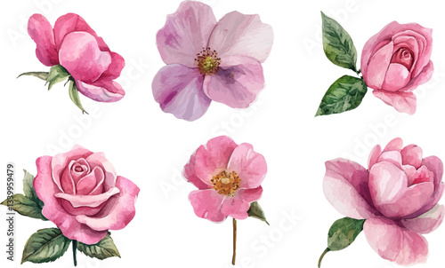 Wallpaper Mural set of pink rose petals Torontodigital.ca