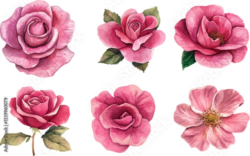 set of pink roses