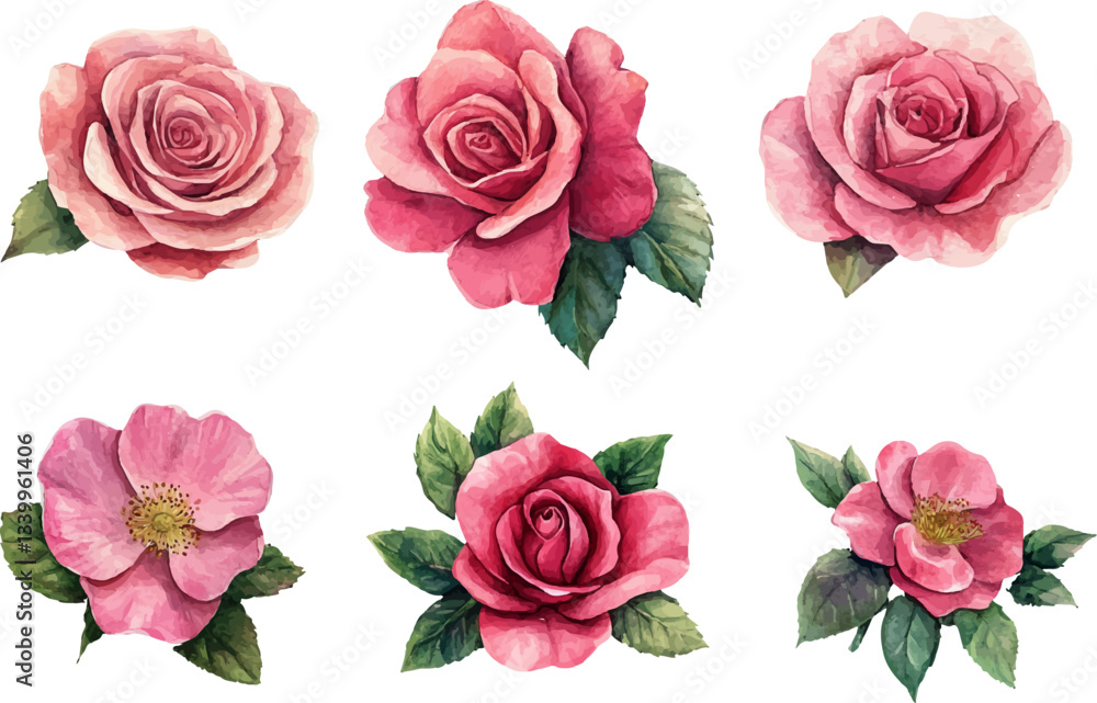 Naklejka premium set of pink roses