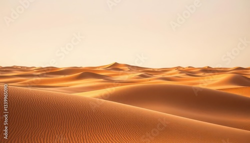 Vast, undulating Sahara sand dunes under a clear sky,  photography, ripple