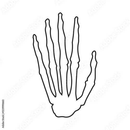hand bones line icon