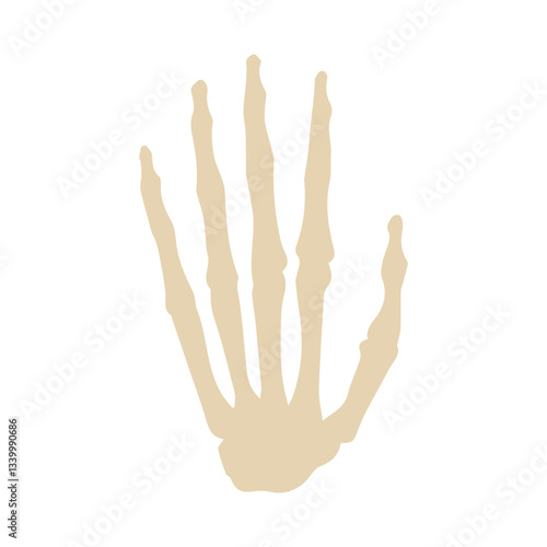 hand bones colored icon