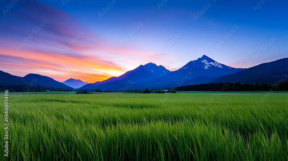 Naklejka premium Vibrant Sunset Over Green Field and Majestic Mountains