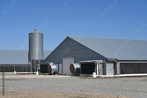 Chicken farm barn buildings with grain silo