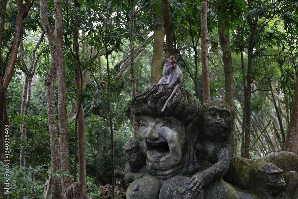 A monkey sits peacefully in its natural habitat. Its curious gaze and relaxed posture stand out against the green surroundings. Its soft brown fur contrasts beautifully with the blurred background. A monkey sits peacefully in its natural habitat. Its curious gaze and relaxed posture stand out against the green surroundings. Its soft brown fur contrasts beautifully with the blurred background.