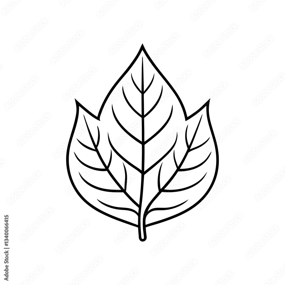 Minimalist Leaf Outline on White Background Minimalist Leaf Outline on White Background