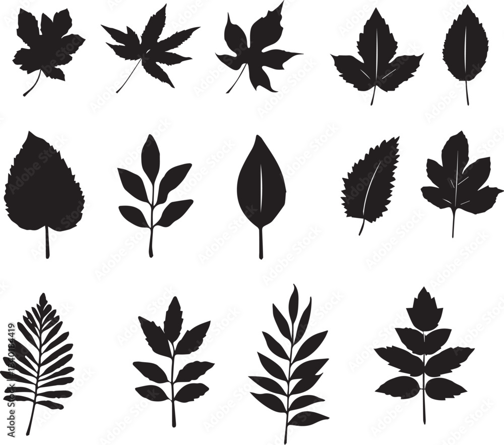 Fototapeta premium Leaf Silhouettes