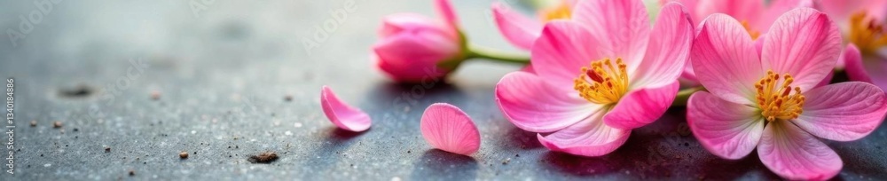 Petals unfurl on a textured surface, showcasing vibrant spring blooms in soft colors, paper, nature, fresh Petals unfurl on a textured surface, showcasing vibrant spring blooms in soft colors, paper, nature, fresh