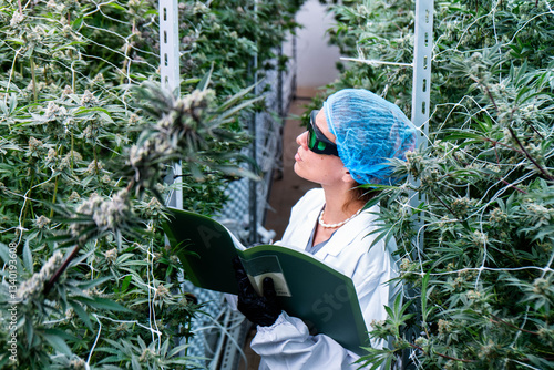 Lab technician assesses cannabis plants while making precise measurements and calculations.
