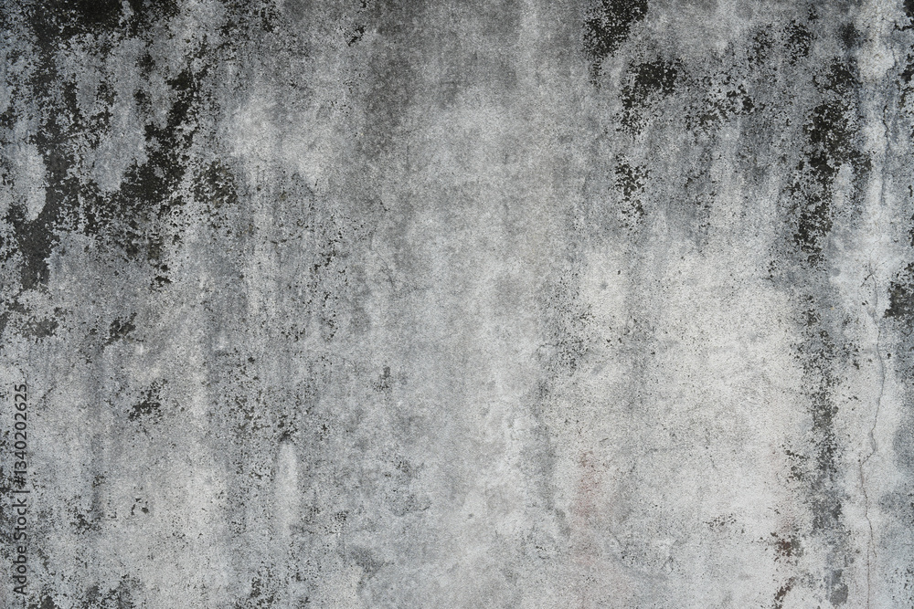 Fototapeta premium Weathered gray stucco wall texture