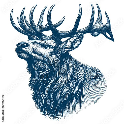 elk vector illustration