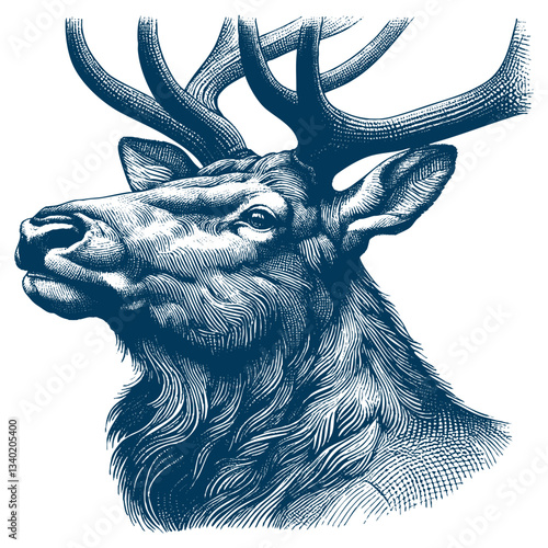 elk vector illustration