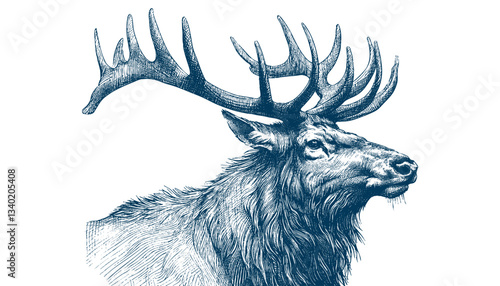 elk vector illustration