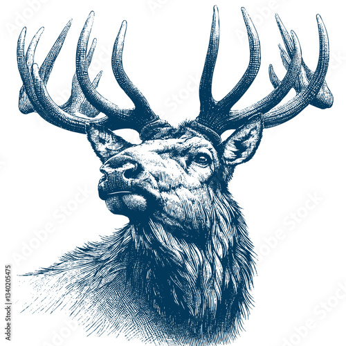 elk vector illustration