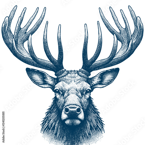 elk vector illustration