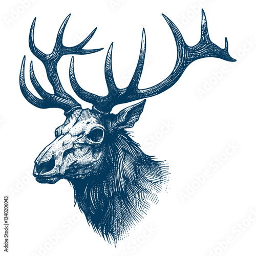 elk vector illustration