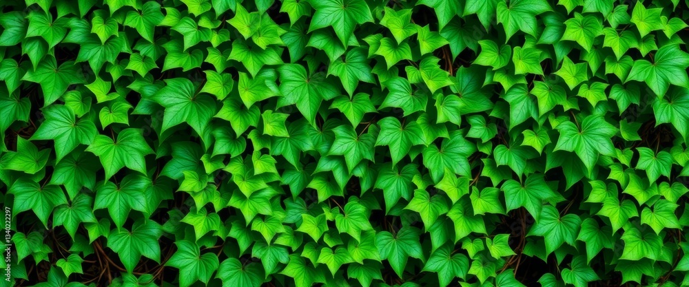 Seamless repeating pattern of lush green vines, plant, botany Seamless repeating pattern of lush green vines, plant, botany