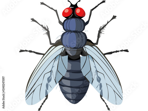 vector illustration of a black beetle