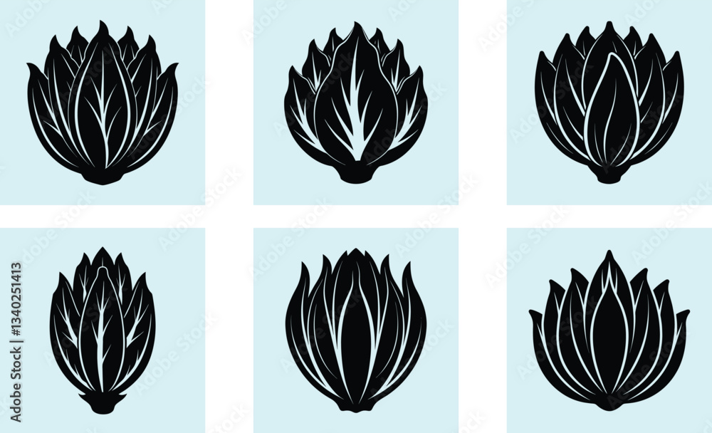 Fototapeta premium Endive silhouette vector