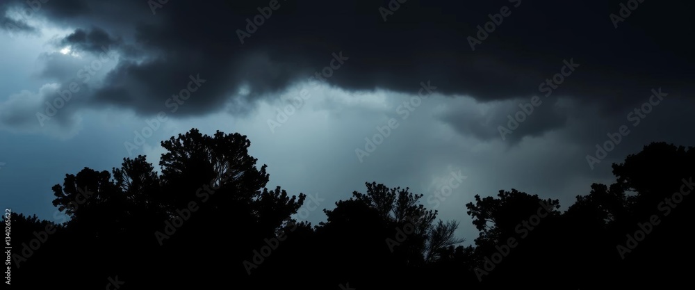 Dark, ominous silhouette of trees against a stormy sky, dark, spooky Dark, ominous silhouette of trees against a stormy sky, dark, spooky