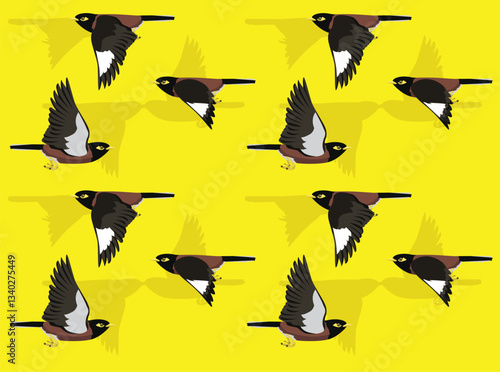 Bird Common Myna Cute Cartoon Character Seamless Wallpaper Background