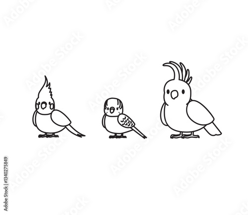 Parrot Cockatiel Cockatoo Budgie Bird Cartoon Minimal Doodle Cute Character