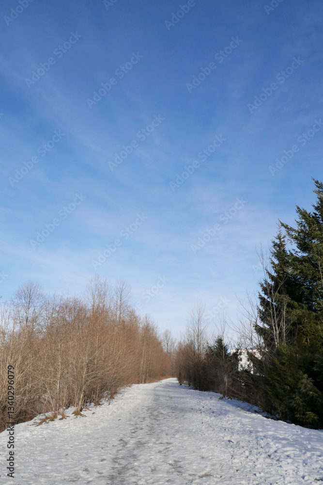 Hiking trail leading to the woods near Squamish River and the Brackendale Eagle Run during a winter season in Squamish, British Columbia, Canada Hiking trail leading to the woods near Squamish River and the Brackendale Eagle Run during a winter season in Squamish, British Columbia, Canada