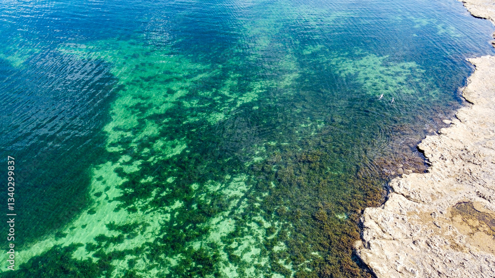 Ocean Ocean