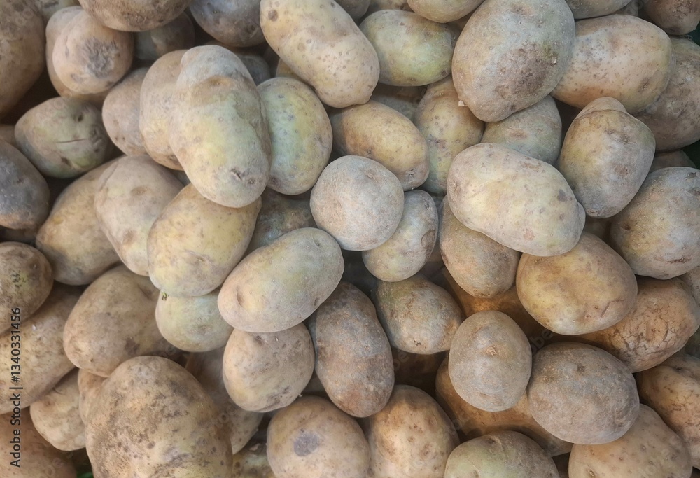 Potatoes in a garden, freshly harvested. Potatoes in a garden, freshly harvested.